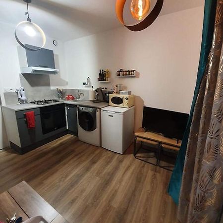 Charmant Petit F1 Apartment Tain-l'Hermitage Bagian luar foto