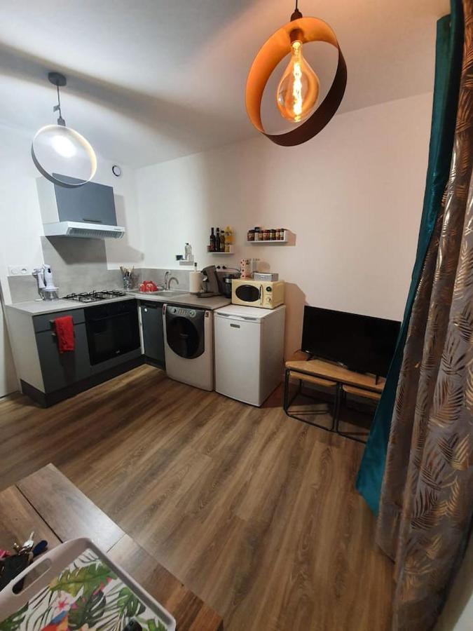Charmant Petit F1 Apartment Tain-l'Hermitage Bagian luar foto